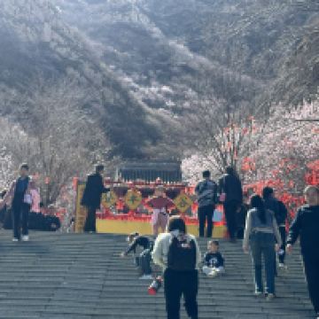 評論圖片 8