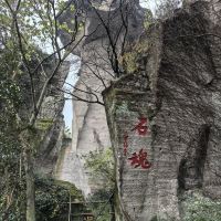 評論圖片 4