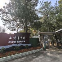 評論圖片 1