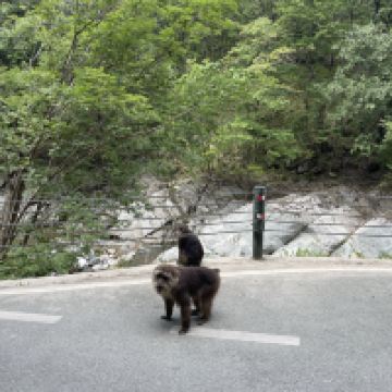 評論圖片 6