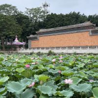 評論圖片 9