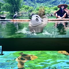 TASTE OF CHINA Immersive Dining User Photo