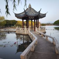 評論圖片 2