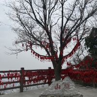 評論圖片 1