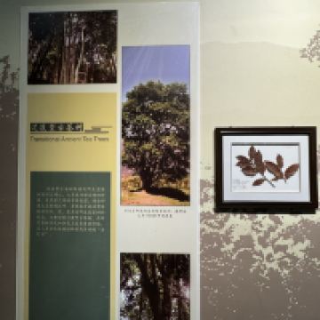 評論圖片 4