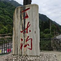評論圖片 1