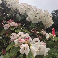評論圖片 6