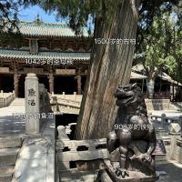 評論圖片 1