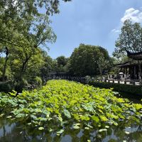 評論圖片 3