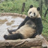 評論圖片 5