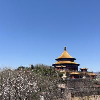 評論圖片 5