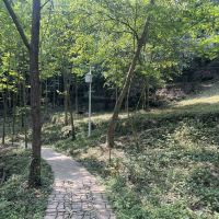 評論圖片 8