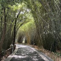 評論圖片 6