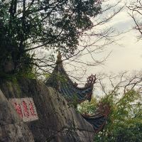 評論圖片 2