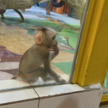 評論圖片 7
