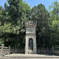 評論圖片 4