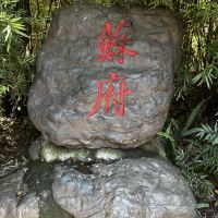 評論圖片 2