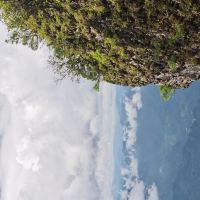 評論圖片 3