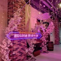 評論圖片 5