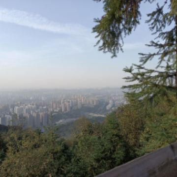 評論圖片 4