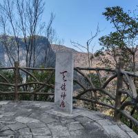 評論圖片 6