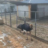 評論圖片 6