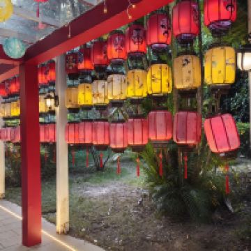 評論圖片 7