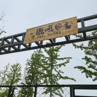 評論圖片 4