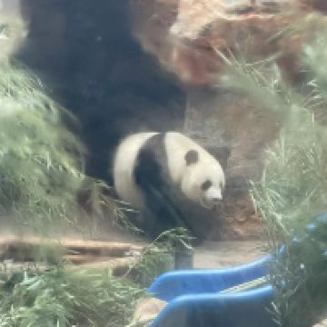 評論圖片 2