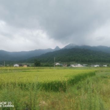 評論圖片 9