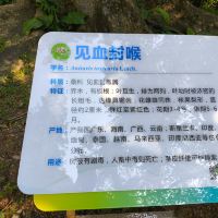 評論圖片 3