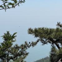 評論圖片 2