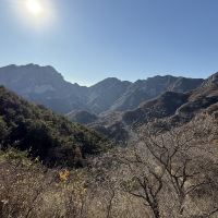 評論圖片 3