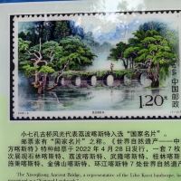 評論圖片 7