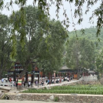 評論圖片 3