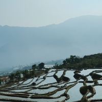 評論圖片 6
