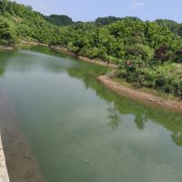 評論圖片 8