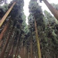 評論圖片 3