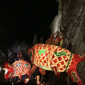 評論圖片 5