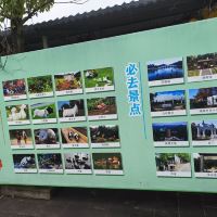 評論圖片 6