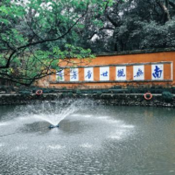 評論圖片 8