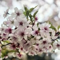 評論圖片 2
