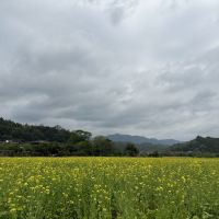 評論圖片 6