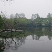 評論圖片 5