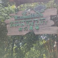 評論圖片 4