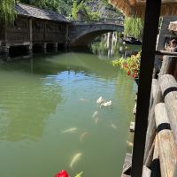 評論圖片 8