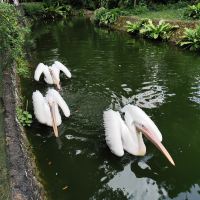 評論圖片 7
