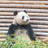 評論圖片 1