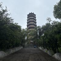 評論圖片 5