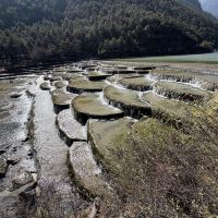評論圖片 4